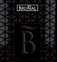 Bruñal