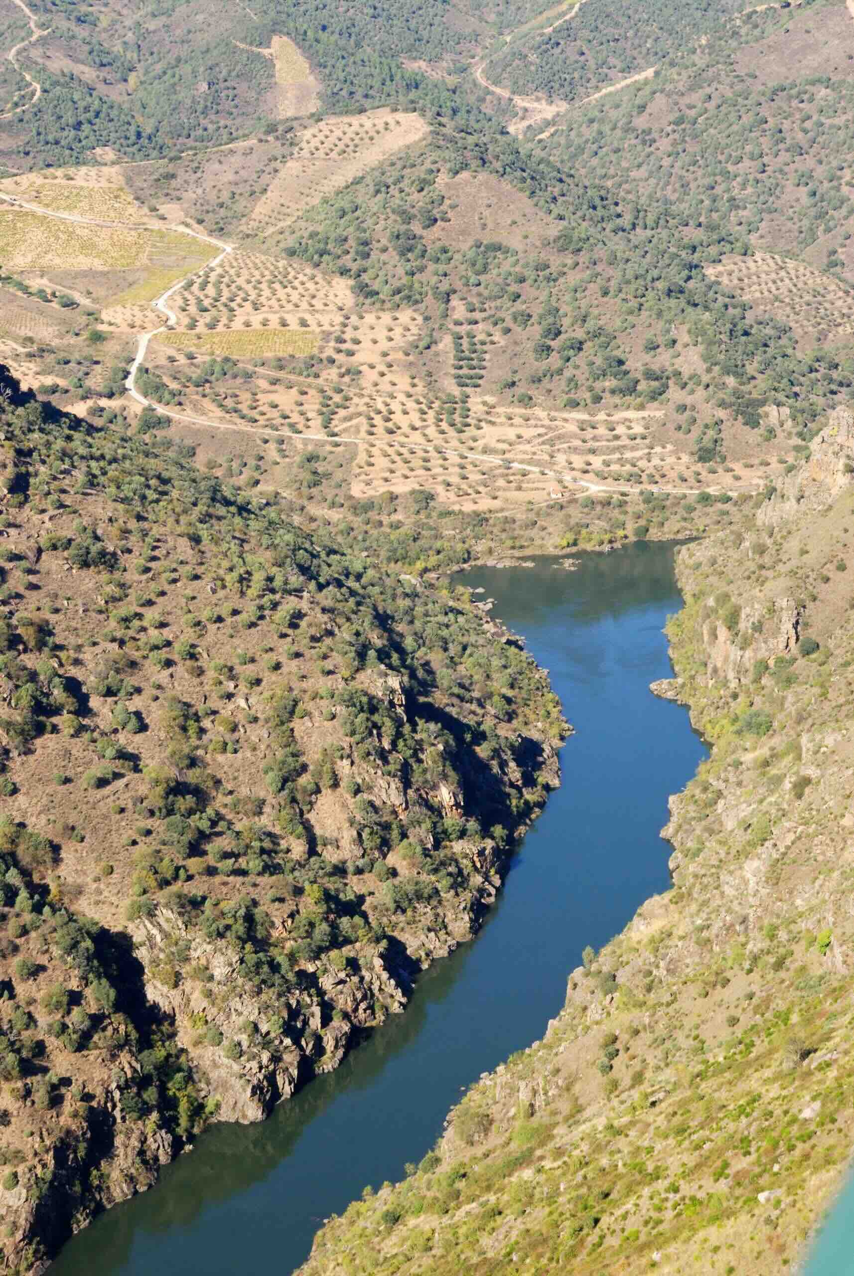 los arribes del duero - bodegas de pereña